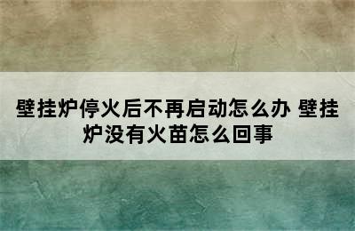 壁挂炉停火后不再启动怎么办 壁挂炉没有火苗怎么回事